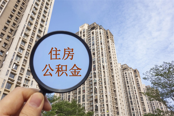 乐平辞职多久公积金可以全部取出来吗（辞职之后公积金多长时间可以取）